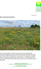 Bury St Edmunds Link Road Case Study