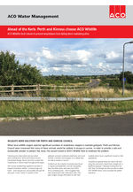 Case study: Wildlife Kerb, Perth & Kinross