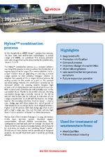 Hybas combination process