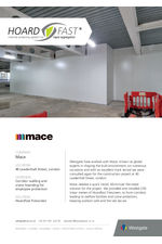 Hoardfast project: Mace