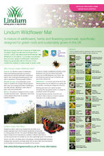 Lindum Wildflower Mat