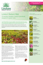 Lindum Sedum Mat for Green Roofs