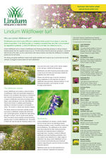 Lindum Wildflower Turf Technical Sheet