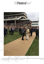 Cheltenham Racecourse - Natratex Gold Case Study