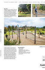 Timber Climbing Forest