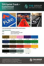 PDS TVS Sprint Track Customised