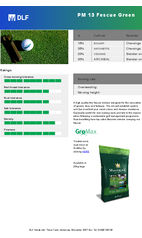PM 13 Fescue Green