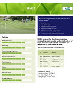 MM22 grass seed mixture