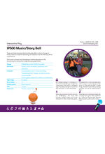 IP500 Music and Story Ball