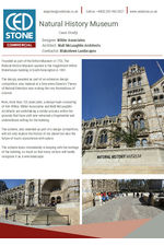Natural History Museum Case Study