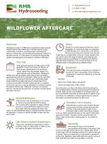 Wildflower aftercare