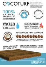 CocoTurf Play Infographic