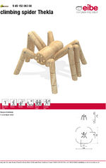 Thekla climbing spider data sheet