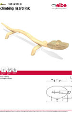 Climbing lizard Rik data sheet