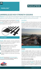 ParaLink Flyer