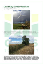 Case Study Cotton Windfarm