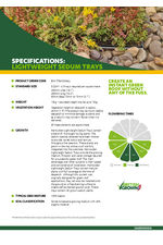 Sedum Trays Spec Sheet
