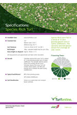 Meadowmat Species Rich Turf