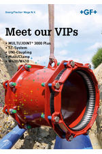 Meet our vips Brochure