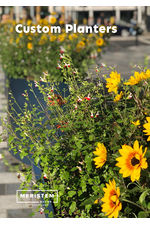 Meristem Planters Brochure Custom Planters