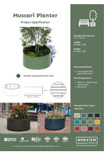 Muscari planter data sheet