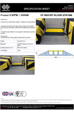 0003 CT PEDESTRIAN CROSSING RAMP 