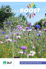 Colour Boost wild flowers catalogue