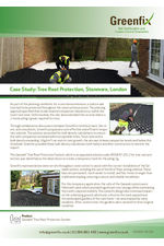 Case Study: Tree Root Protection Stanmore 