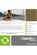 Radyr station Case study 