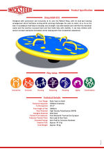 Dizzy rounabout product specification