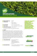 Clover Rich Lawn