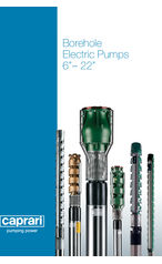 Borehole Electric Pumps 6’’– 22’’ - Brochure