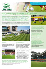 Lindum LT6 Sports turf 