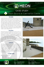 Case study: Caernarfon Castle