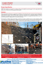 Case study: Henwick Turnback
