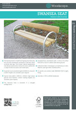 Swansea seat