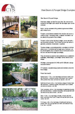 Steel beam bridges with steel parapets