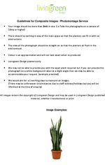 Composite Image/Photomontage Guidelines