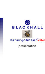 Larner Johnson overview