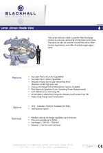 Larner Johnson needle valve