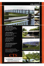 Steel bridges
