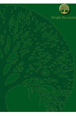 Company brochure