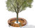 Tree Grilles Round 7