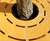 Tree Grilles Round 12