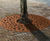Tree Grilles Round 4