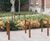Strip Bike Racks 1