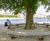Rough&Ready Circular Benches - timber and steel tree seats 4