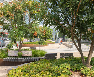 Rough&Ready Tree Isles Circular