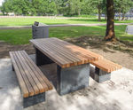 Solid Picnic Sets