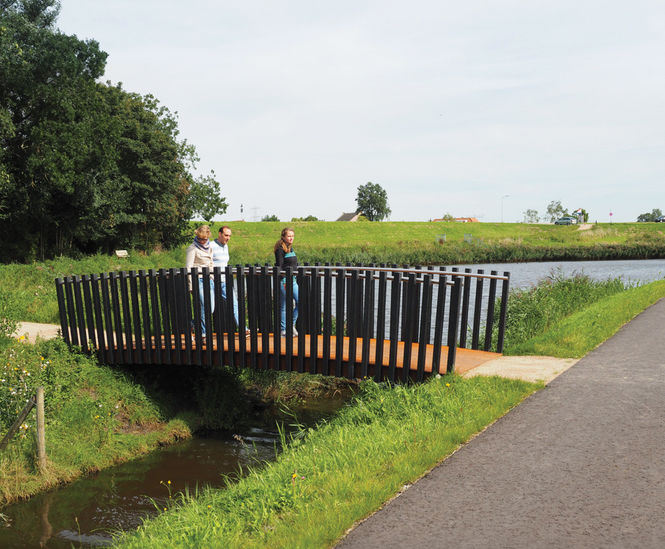 Solo Bridges